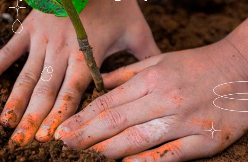 &iexcl;Si siembras un &aacute;rbol, preservas el agua y la vida!